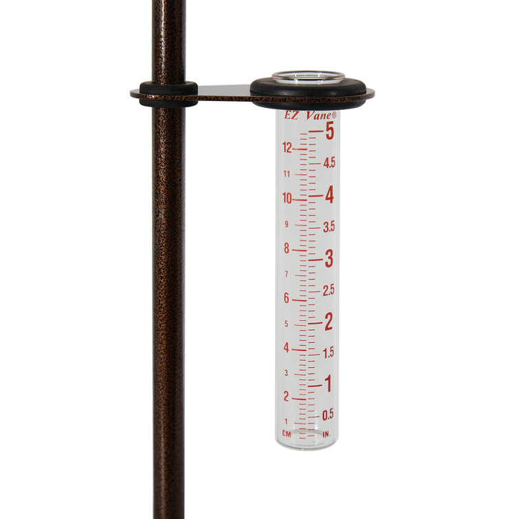 EZVaneInc Rain Gauge & Reviews Wayfair